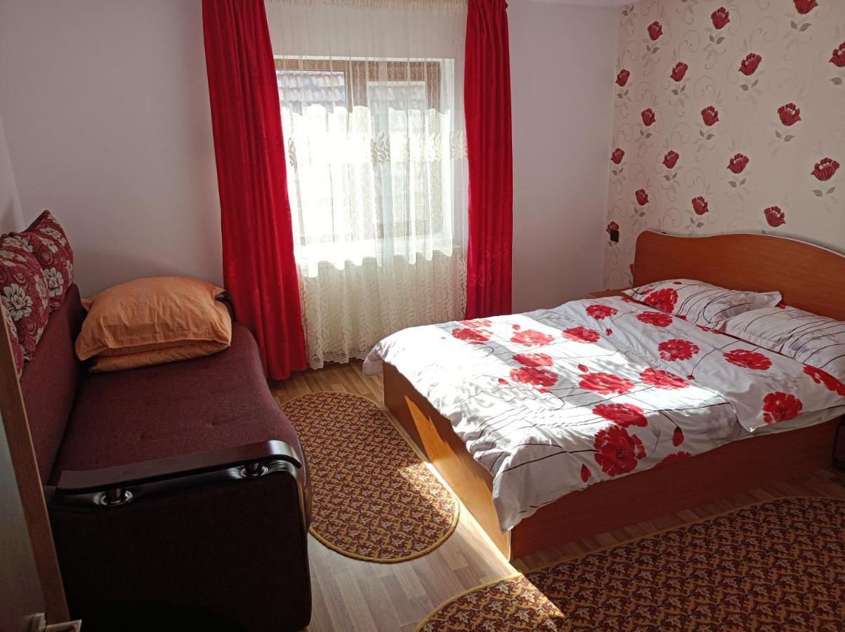 Pensiunea Ileana Novaci-Străini Extérieur photo