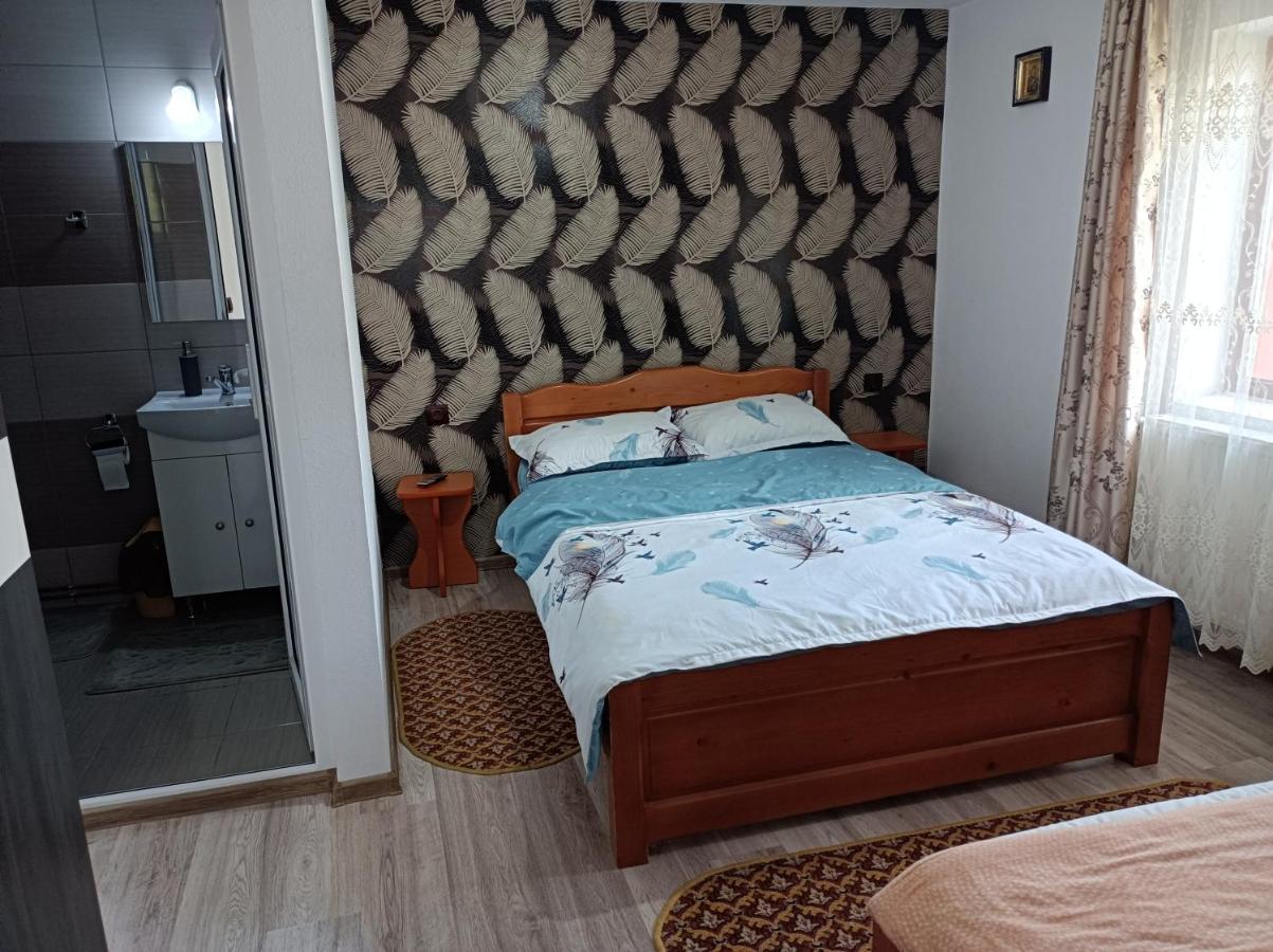 Pensiunea Ileana Novaci-Străini Extérieur photo