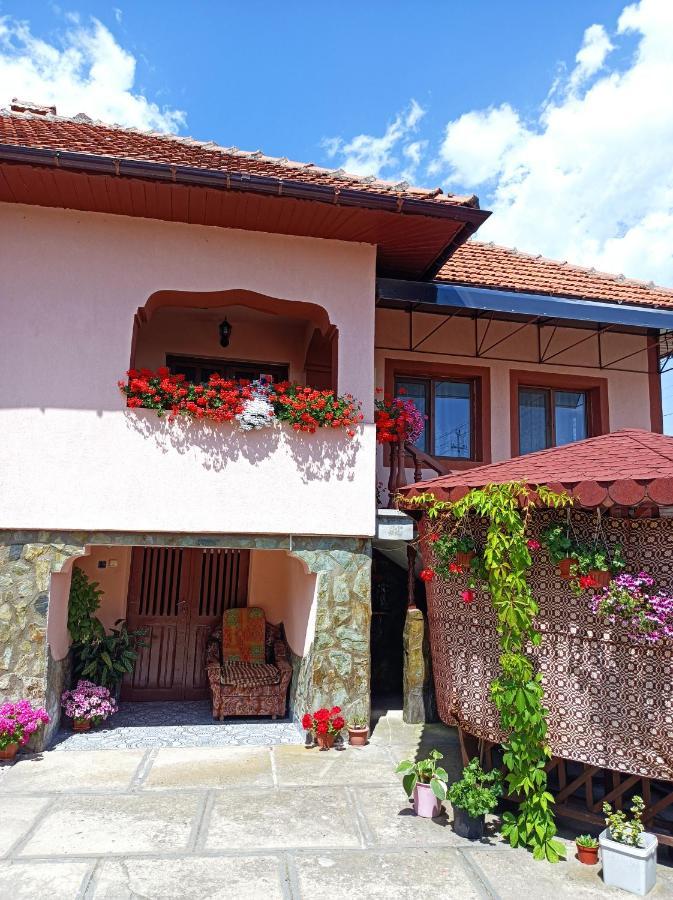 Pensiunea Ileana Novaci-Străini Extérieur photo