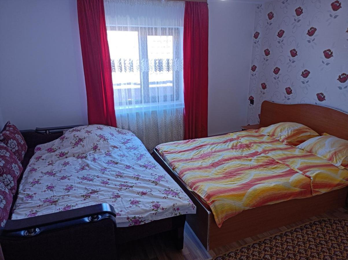 Pensiunea Ileana Novaci-Străini Extérieur photo
