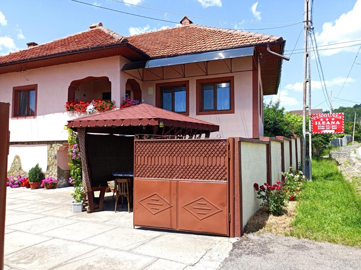 Pensiunea Ileana Novaci-Străini Extérieur photo
