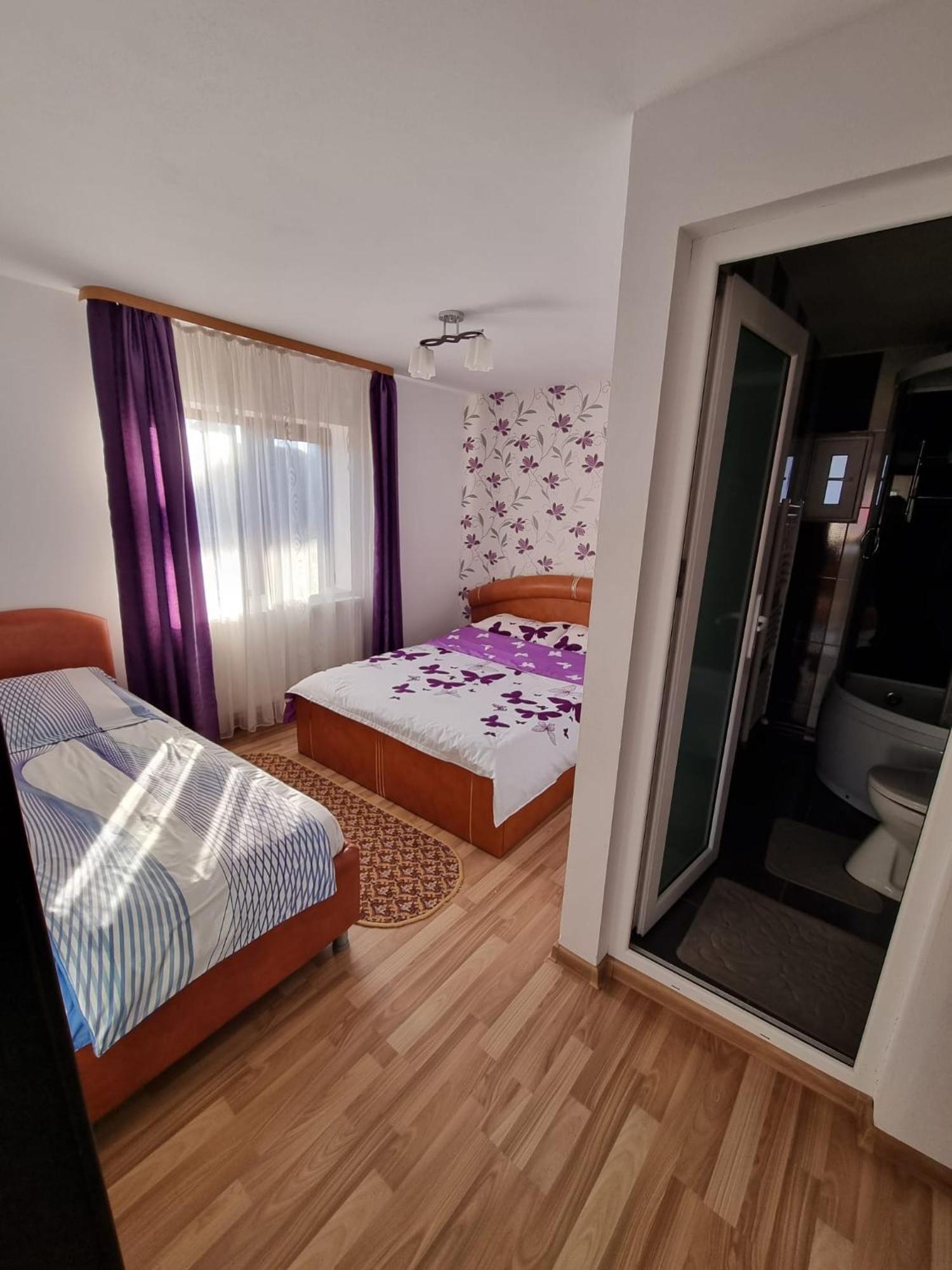 Pensiunea Ileana Novaci-Străini Extérieur photo