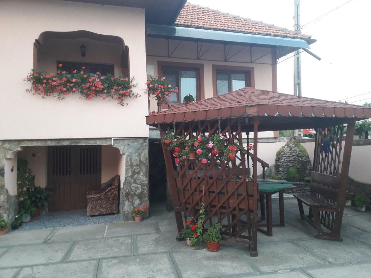 Pensiunea Ileana Novaci-Străini Extérieur photo