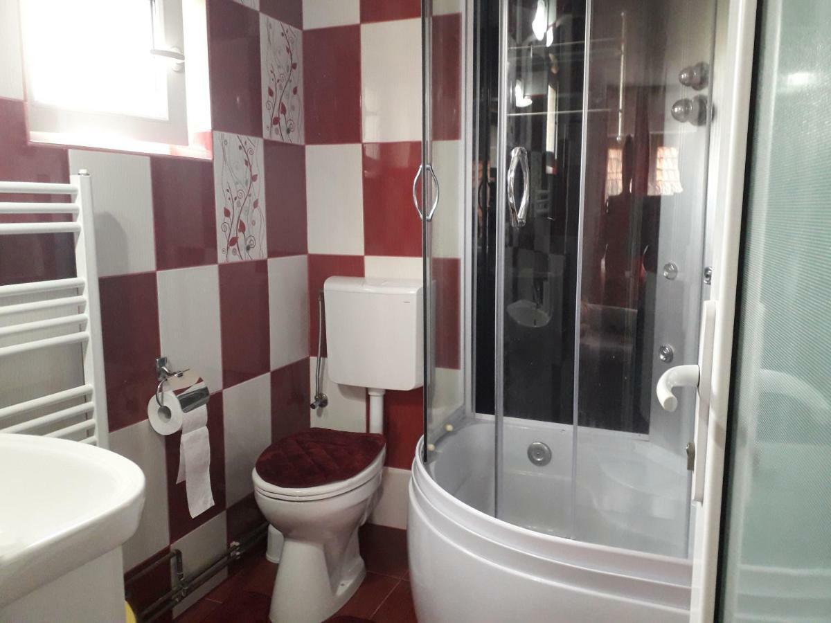 Pensiunea Ileana Novaci-Străini Extérieur photo