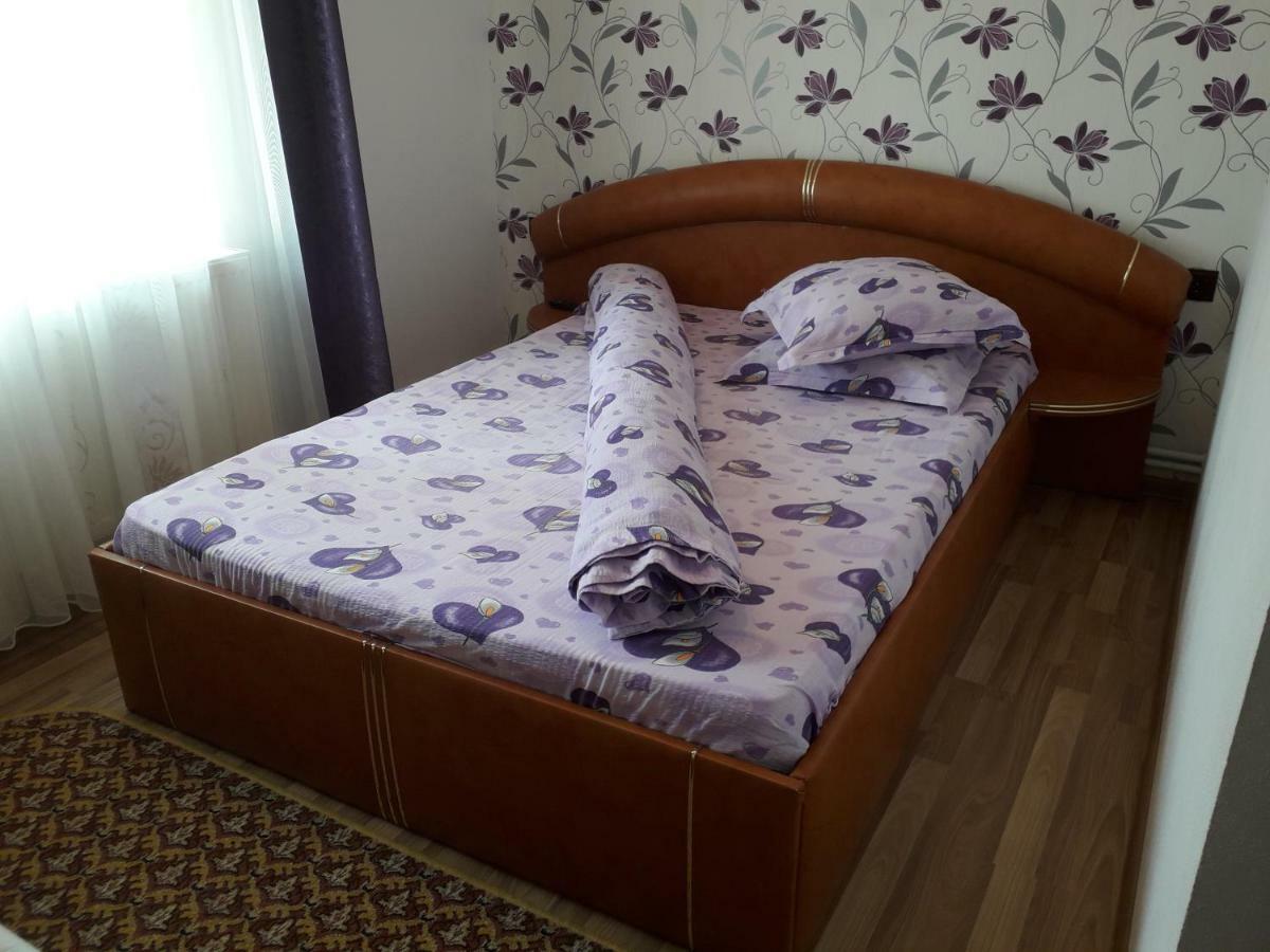 Pensiunea Ileana Novaci-Străini Extérieur photo