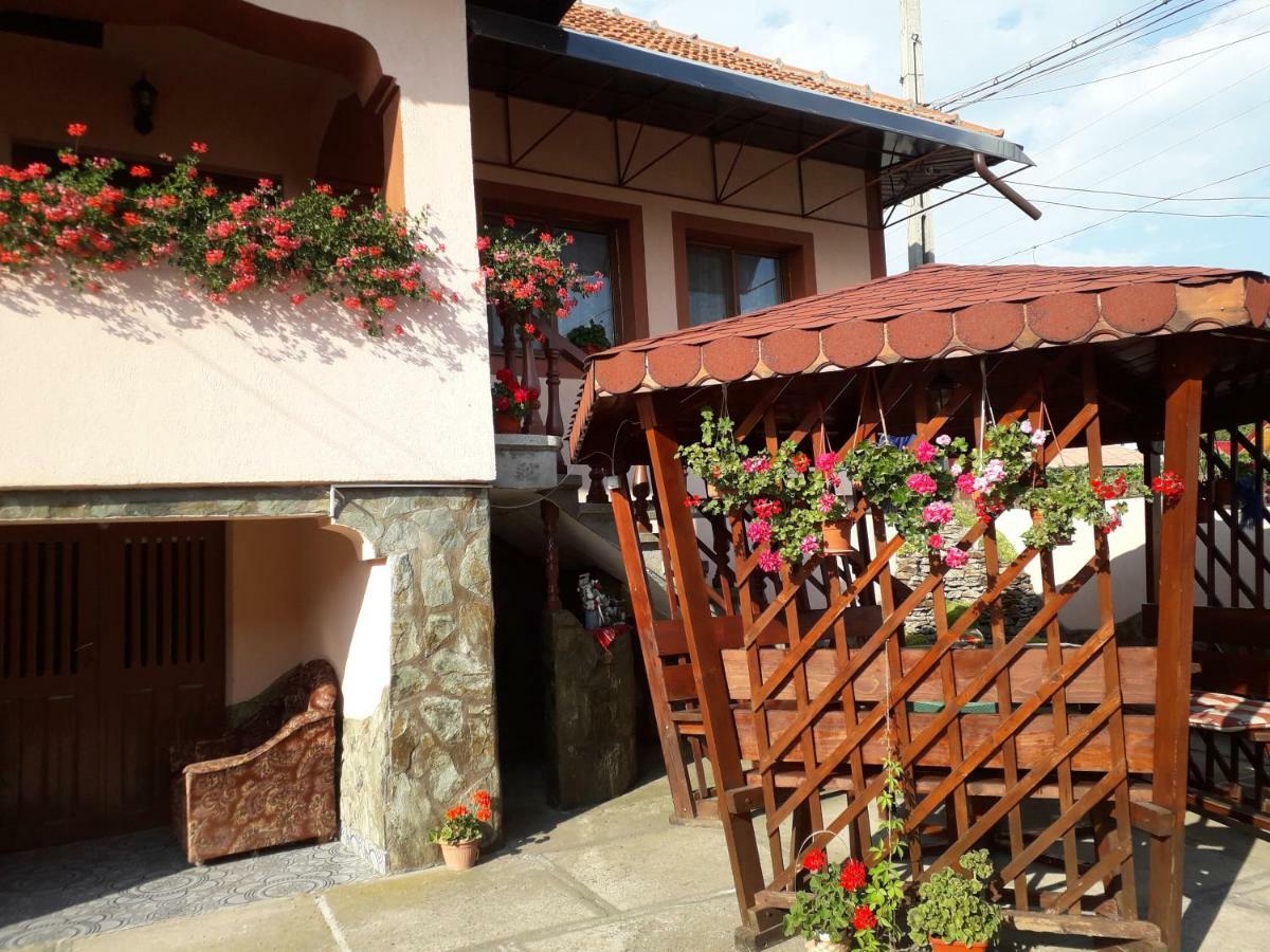 Pensiunea Ileana Novaci-Străini Extérieur photo