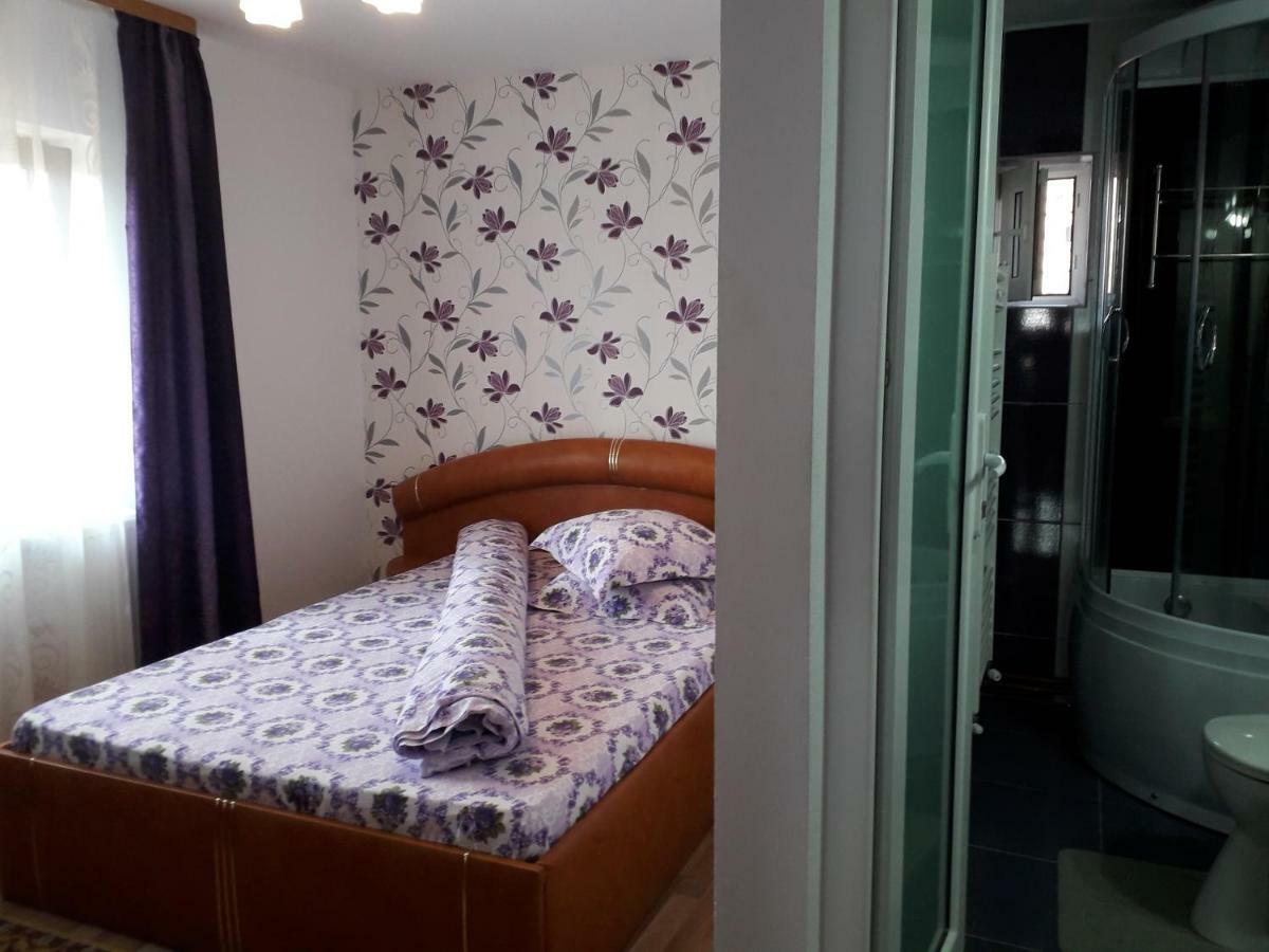 Pensiunea Ileana Novaci-Străini Extérieur photo