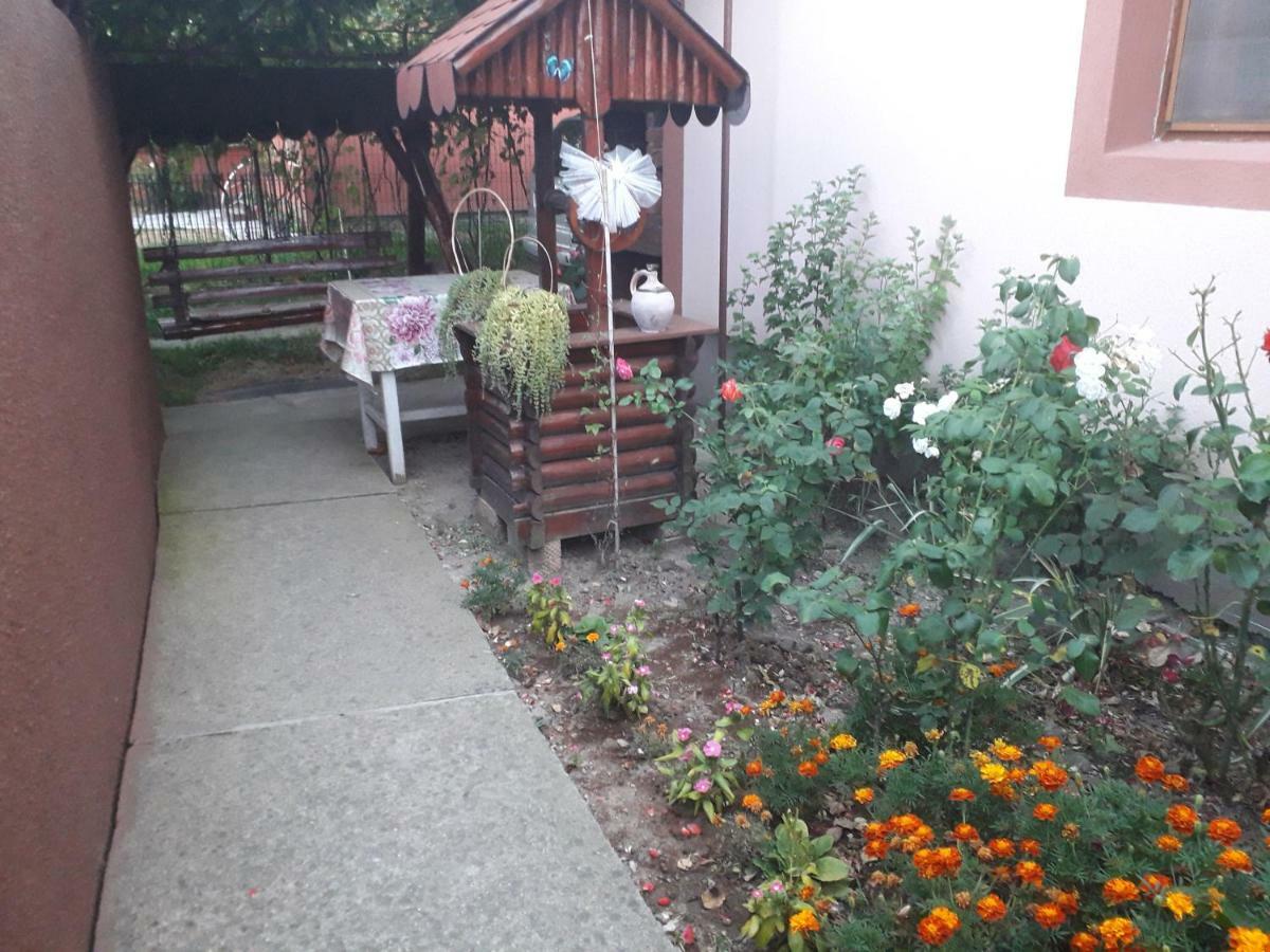 Pensiunea Ileana Novaci-Străini Extérieur photo